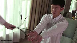 Image-30