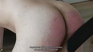 Image-11